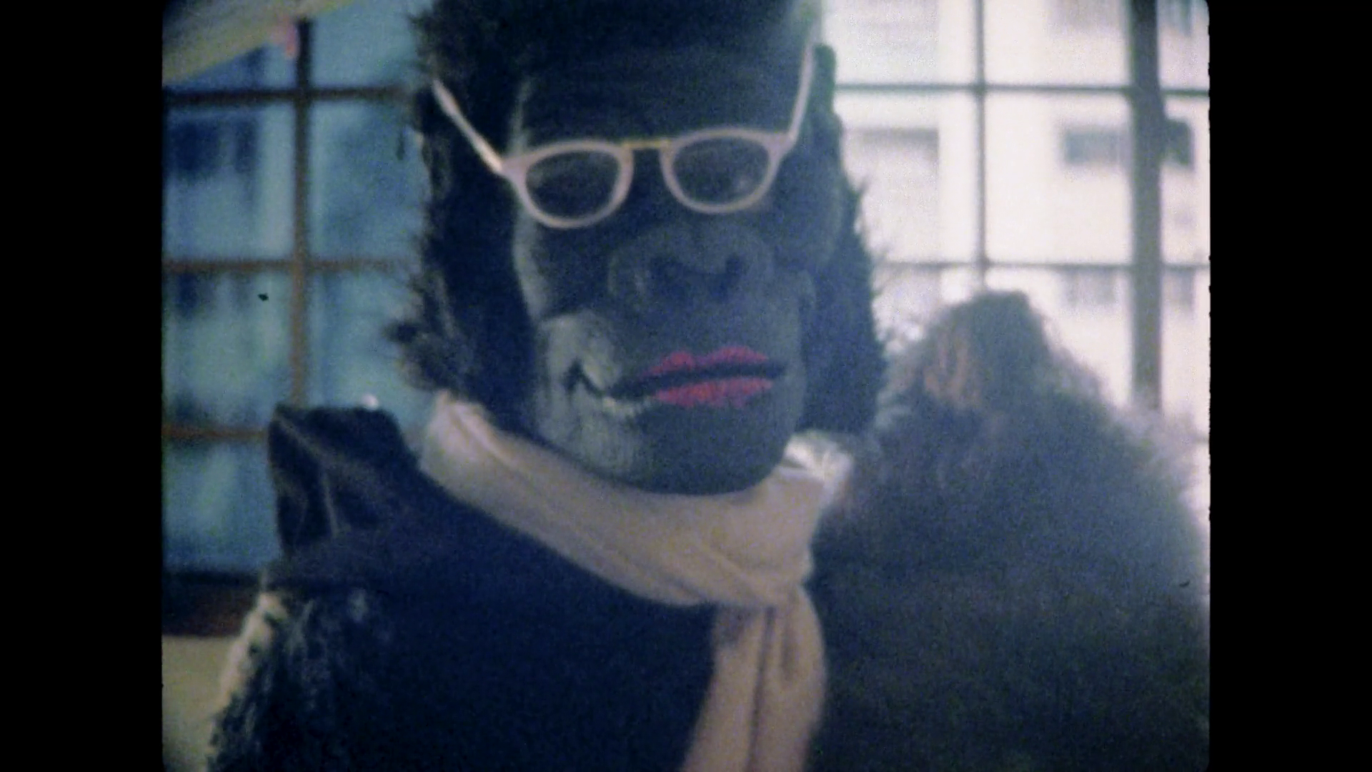 Home Movie Day Singapore